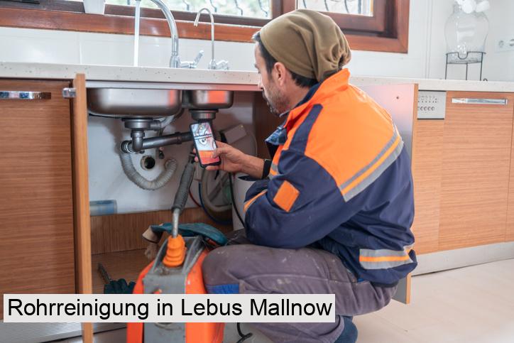 Rohrreinigung in Lebus Mallnow