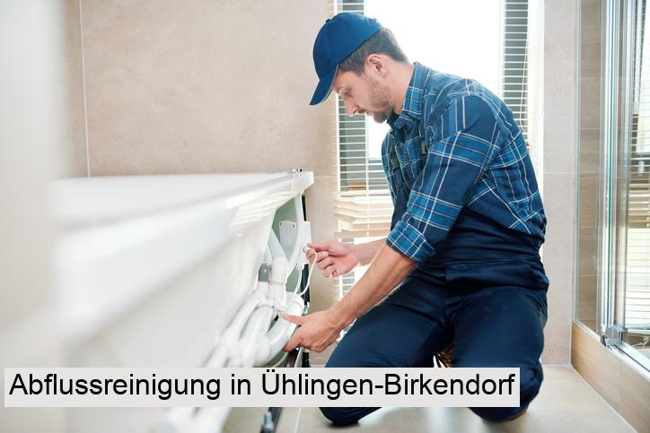 Abflussreinigung in Ühlingen-Birkendorf