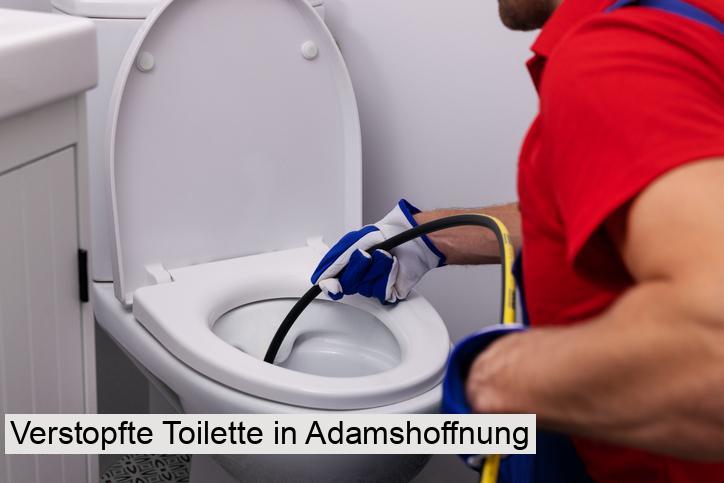 Verstopfte Toilette in Adamshoffnung