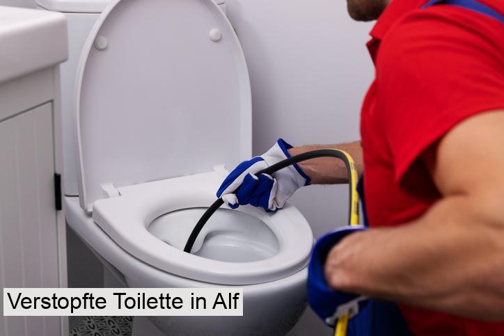 Verstopfte Toilette in Alf