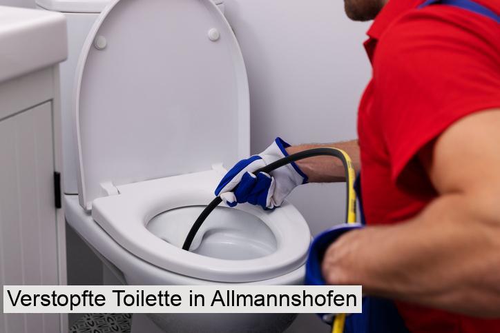 Verstopfte Toilette in Allmannshofen