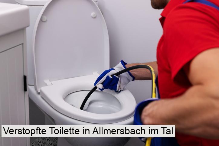 Verstopfte Toilette in Allmersbach im Tal