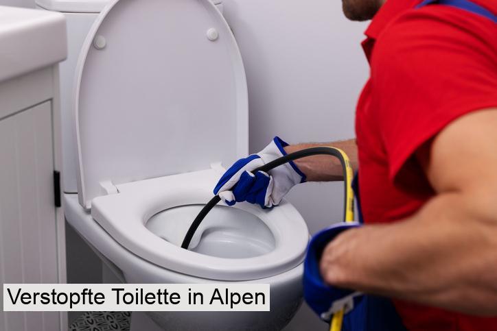 Verstopfte Toilette in Alpen