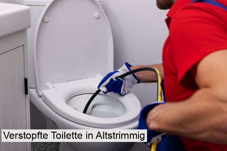 Verstopfte Toilette in Altstrimmig