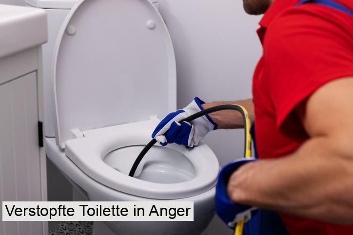 Verstopfte Toilette in Anger