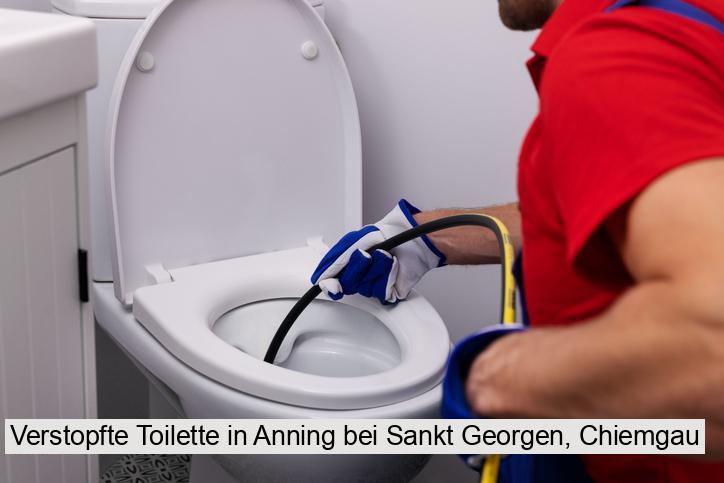 Verstopfte Toilette in Anning bei Sankt Georgen, Chiemgau