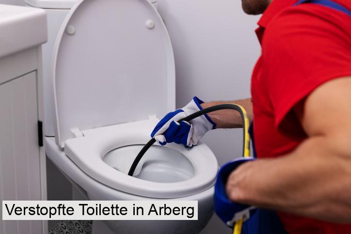 Verstopfte Toilette in Arberg