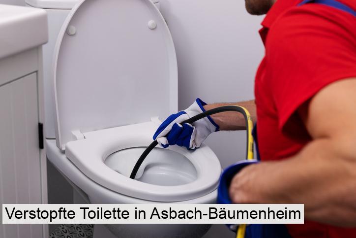 Verstopfte Toilette in Asbach-Bäumenheim