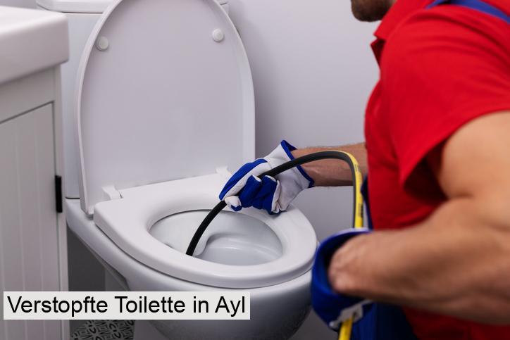 Verstopfte Toilette in Ayl