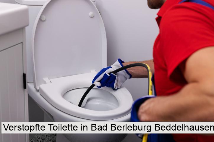 Verstopfte Toilette in Bad Berleburg Beddelhausen