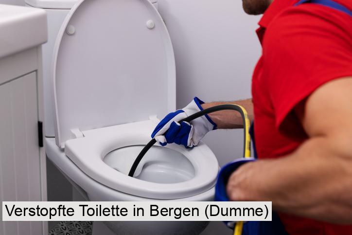 Verstopfte Toilette in Bergen (Dumme)