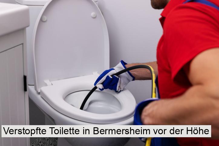 Verstopfte Toilette in Bermersheim vor der Höhe