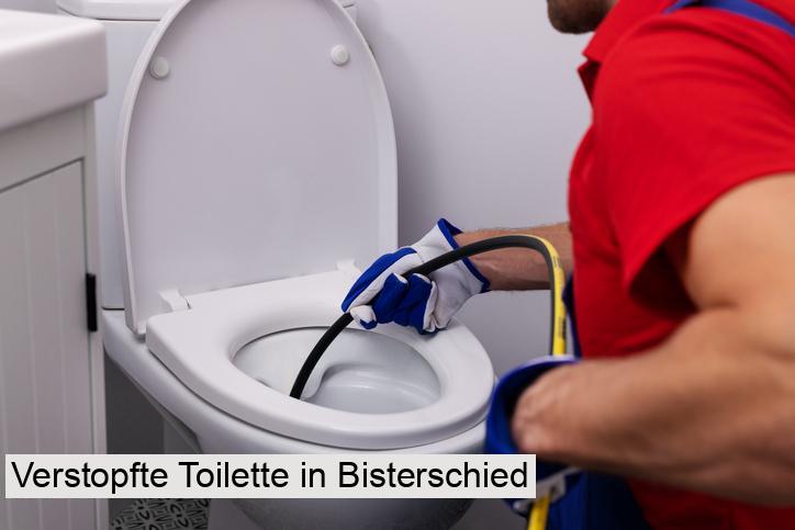 Verstopfte Toilette in Bisterschied