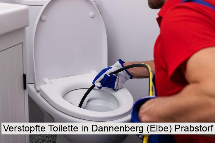 Verstopfte Toilette in Dannenberg (Elbe) Prabstorf