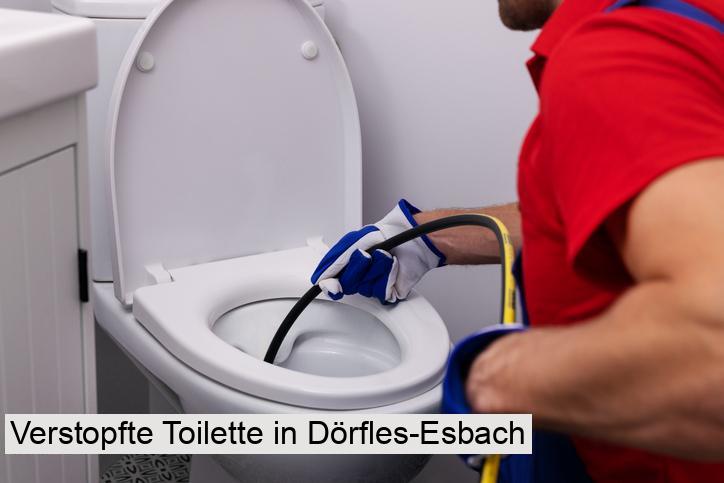 Verstopfte Toilette in Dörfles-Esbach
