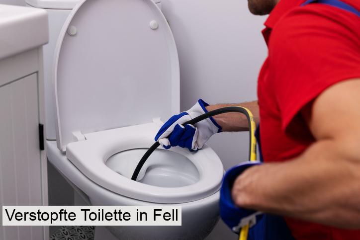 Verstopfte Toilette in Fell