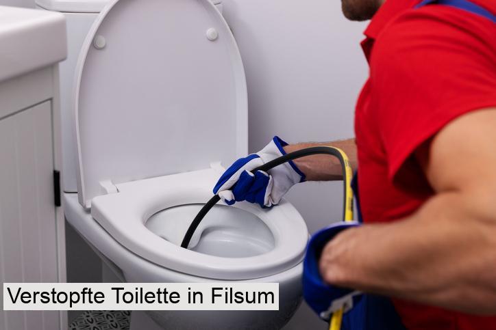 Verstopfte Toilette in Filsum