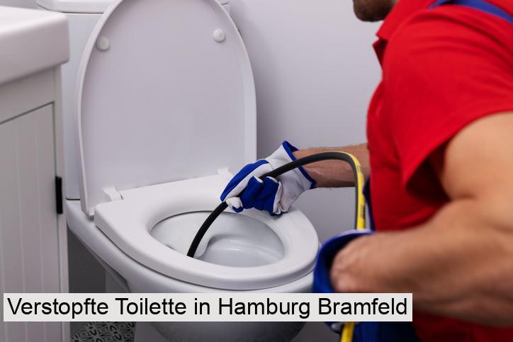 Verstopfte Toilette in Hamburg Bramfeld