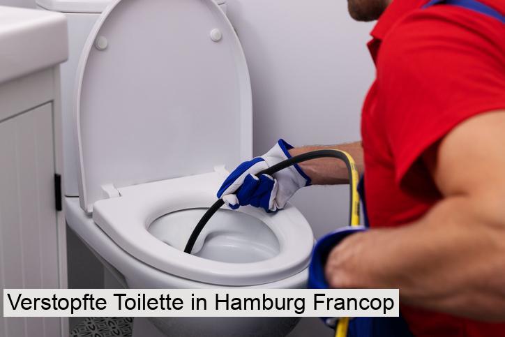 Verstopfte Toilette in Hamburg Francop