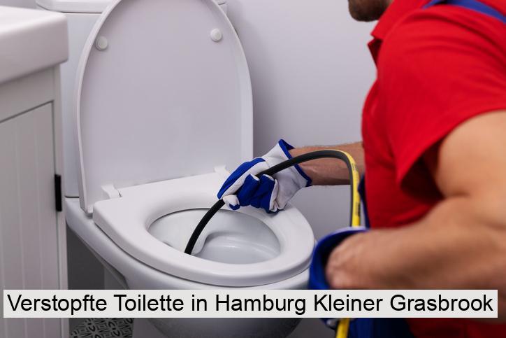 Verstopfte Toilette in Hamburg Kleiner Grasbrook