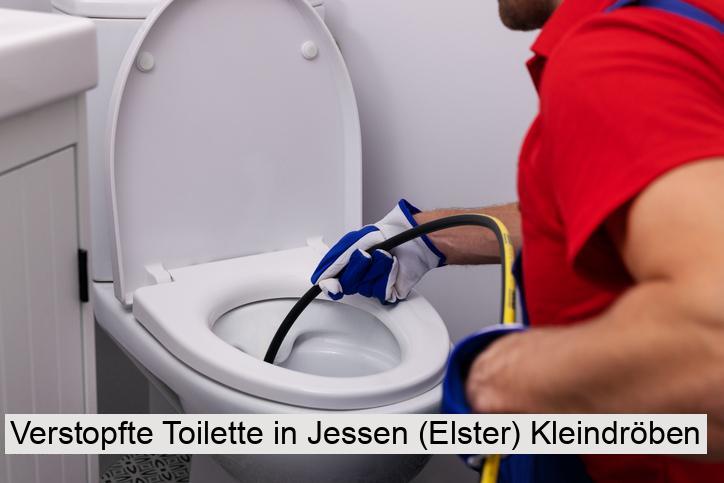 Verstopfte Toilette in Jessen (Elster) Kleindröben