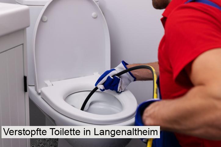 Verstopfte Toilette in Langenaltheim