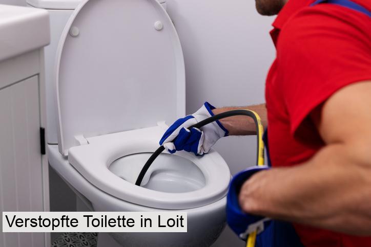 Verstopfte Toilette in Loit