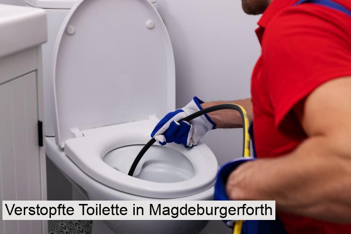 Verstopfte Toilette in Magdeburgerforth