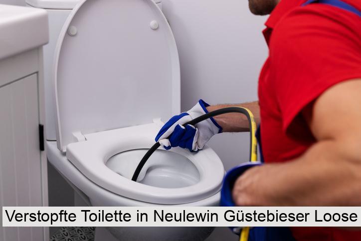 Verstopfte Toilette in Neulewin Güstebieser Loose