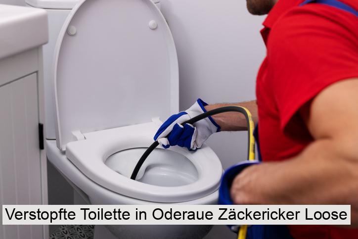 Verstopfte Toilette in Oderaue Zäckericker Loose