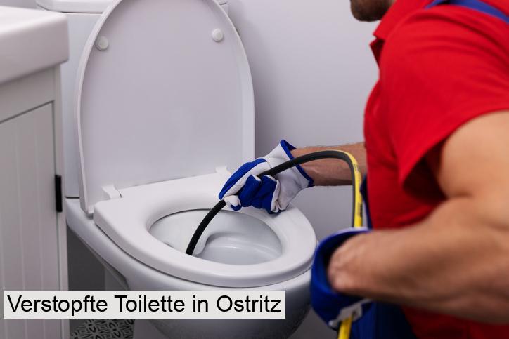 Verstopfte Toilette in Ostritz