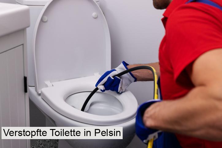 Verstopfte Toilette in Pelsin
