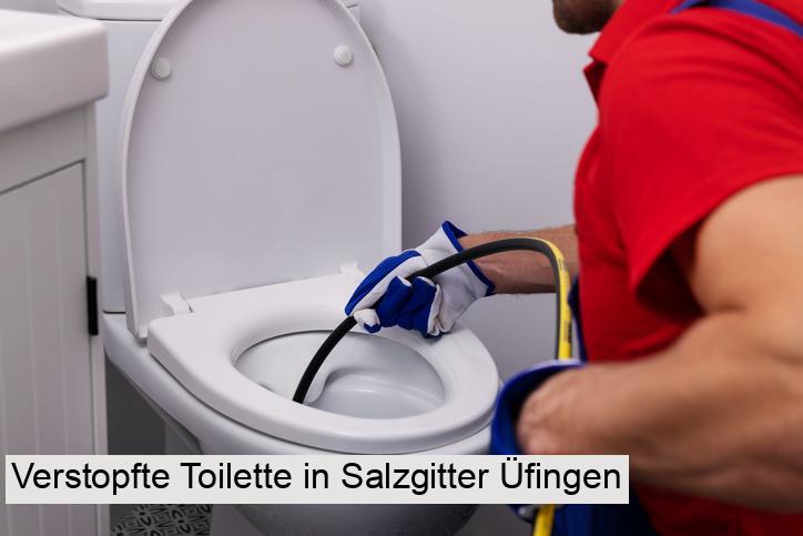 Verstopfte Toilette in Salzgitter Üfingen
