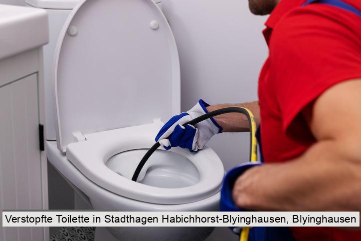 Verstopfte Toilette in Stadthagen Habichhorst-Blyinghausen, Blyinghausen