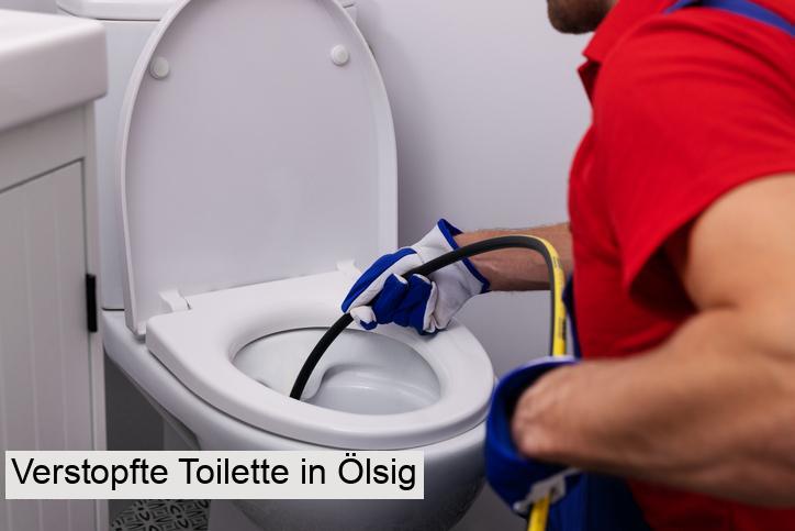 Verstopfte Toilette in Ölsig