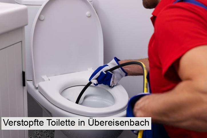 Verstopfte Toilette in Übereisenbach